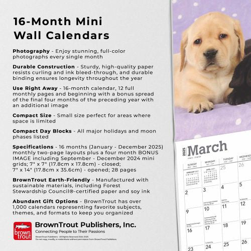 2025 Lab Puppies Mini Wall Calendar by  BrownTrout Publishers Inc from Calendar Club