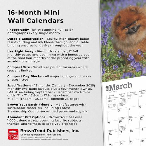 2025 Pomeranians Mini Wall Calendar by  BrownTrout Publishers Inc from Calendar Club