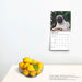 2025 Pug Puppies Mini Wall Calendar by  BrownTrout Publishers Inc from Calendar Club