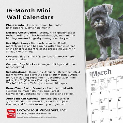 2025 Schnauzer Puppies Mini Wall Calendar by  BrownTrout Publishers Inc from Calendar Club