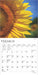 2025 Sunflowers Mini Wall Calendar by  BrownTrout Publishers Inc from Calendar Club