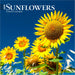 2025 Sunflowers Mini Wall Calendar by  BrownTrout Publishers Inc from Calendar Club