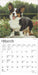 2025 Welsh Corgis Mini Wall Calendar by  BrownTrout Publishers Inc from Calendar Club