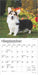 2025 Welsh Corgis Mini Wall Calendar by  BrownTrout Publishers Inc from Calendar Club