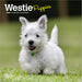 2025 West Highland White Terrier Puppies Mini Wall Calendar by  BrownTrout Publishers Inc from Calendar Club