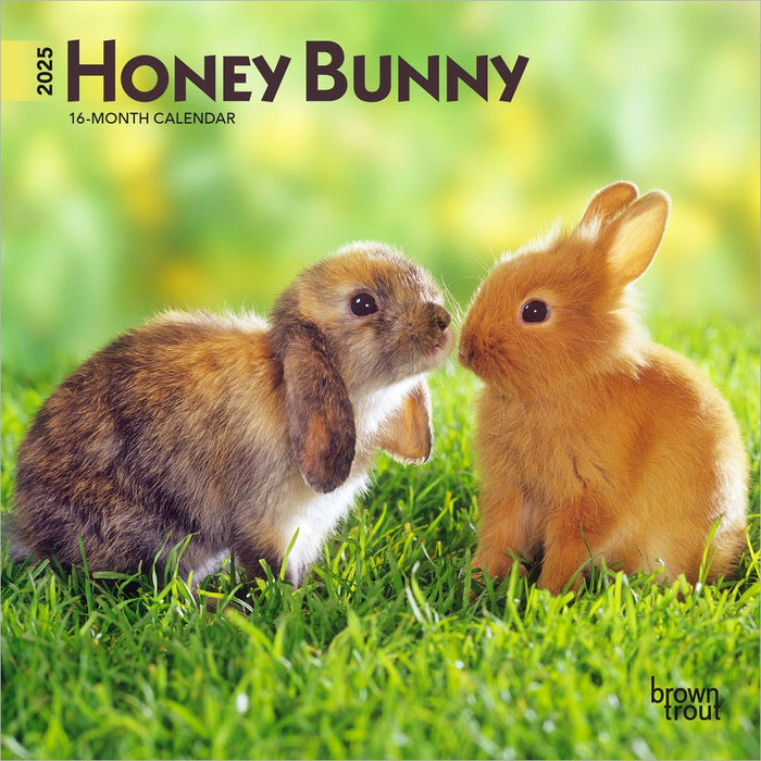 2025 Honey Bunny Mini Wall Calendar by  BrownTrout Publishers Inc from Calendar Club