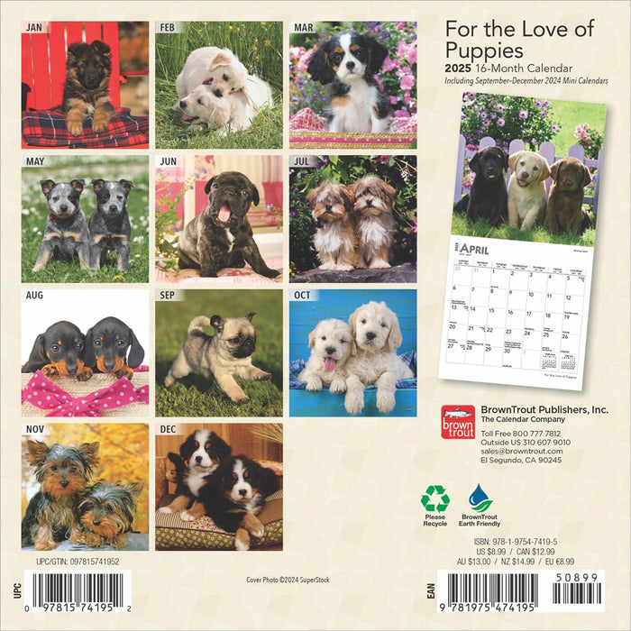 2025 For the Love of Puppies Wall Calendar by  BrownTrout Publishers Inc from Calendar Club