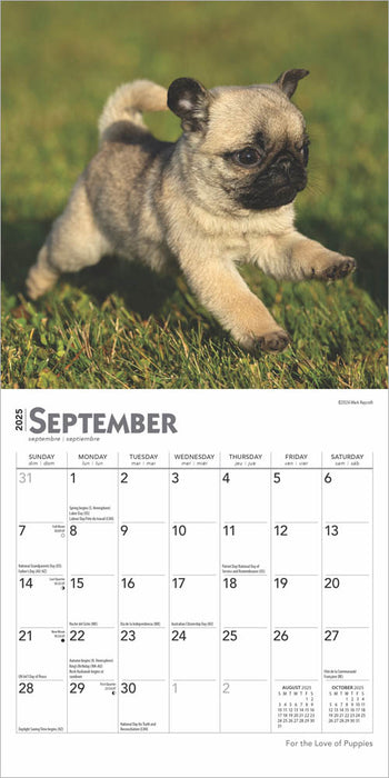 2025 For the Love of Puppies Wall Calendar by  BrownTrout Publishers Inc from Calendar Club