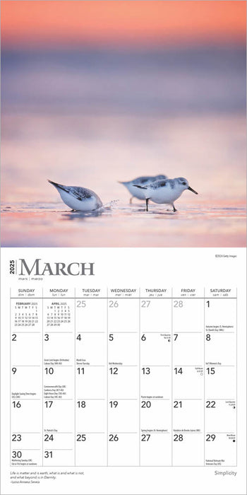 2025 Simplicity Mini Wall Calendar by  BrownTrout Publishers Inc from Calendar Club