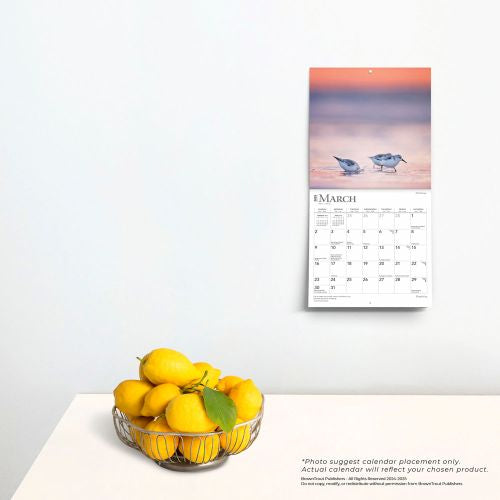 2025 Simplicity Mini Wall Calendar by  BrownTrout Publishers Inc from Calendar Club