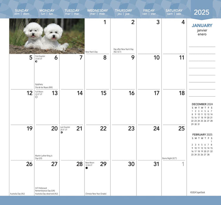 2025 I Love Puppies Pocket Diary by  BrownTrout Publishers Inc from Calendar Club