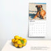 2025 Boxers International Edition Wall Calendar by  BrownTrout Publishers Inc from Calendar Club