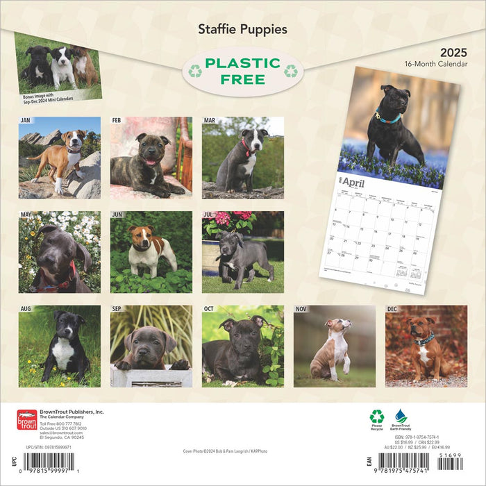 2025 Staffordshire Bull Terrier Puppies Wall Calendar by  BrownTrout Publishers Inc from Calendar Club