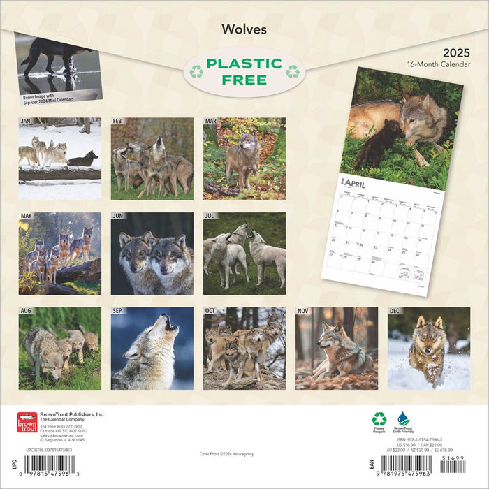 2025 Wolves Wall Calendar by  BrownTrout Publishers Inc from Calendar Club