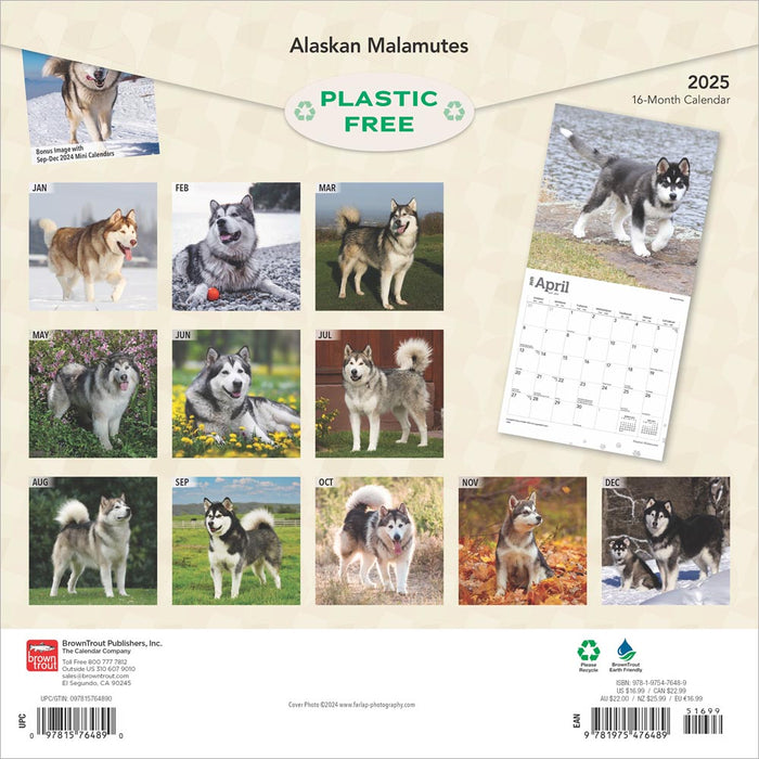 2025 Alaskan Malamutes Wall Calendar by  BrownTrout Publishers Inc from Calendar Club