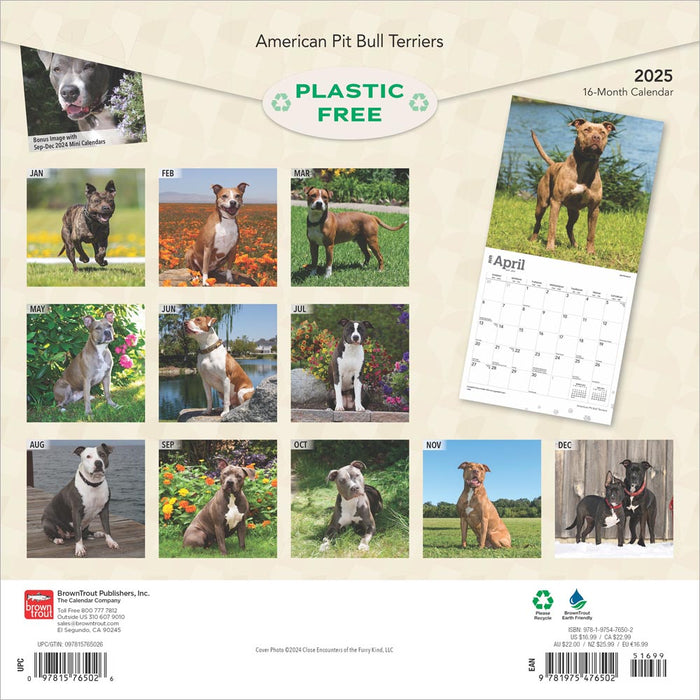 2025 American Pit Bull Terriers Wall Calendar by  BrownTrout Publishers Inc from Calendar Club