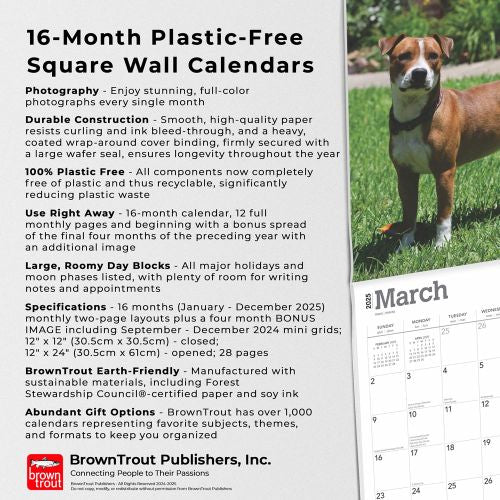 2025 American Pit Bull Terriers Wall Calendar by  BrownTrout Publishers Inc from Calendar Club