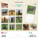 2025 Australian Kelpies Wall Calendar by  BrownTrout Publishers Inc from Calendar Club