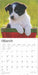 2025 Border Collie Puppies Wall Calendar by  BrownTrout Publishers Inc from Calendar Club