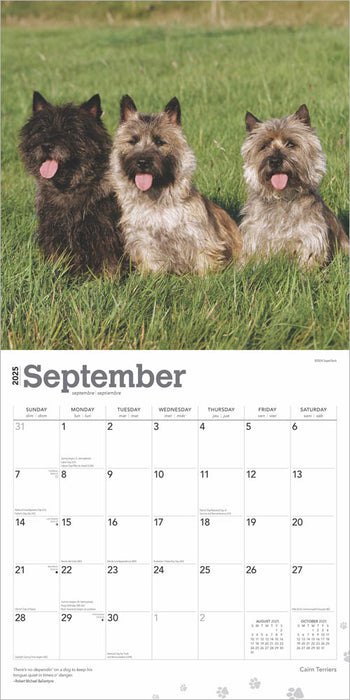 2025 Cairn Terriers Wall Calendar by  BrownTrout Publishers Inc from Calendar Club