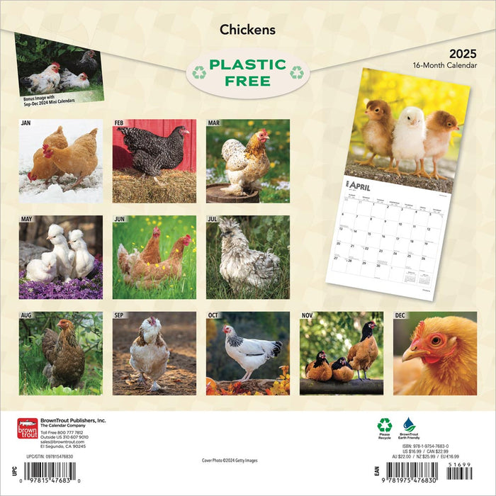 2025 Chickens Wall Calendar by  BrownTrout Publishers Inc from Calendar Club