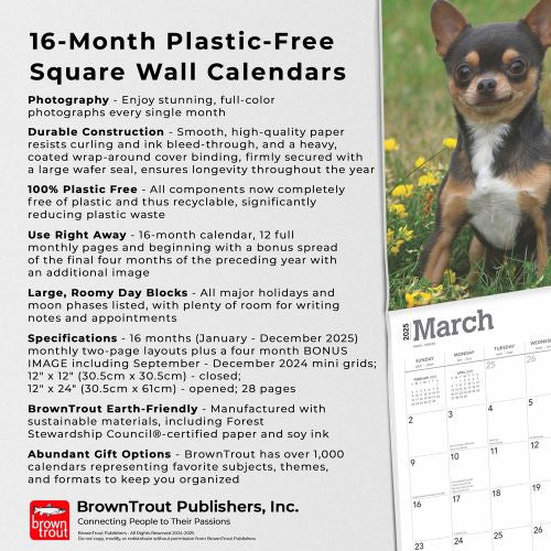 2025 Chihuahuas Wall Calendar by  BrownTrout Publishers Inc from Calendar Club