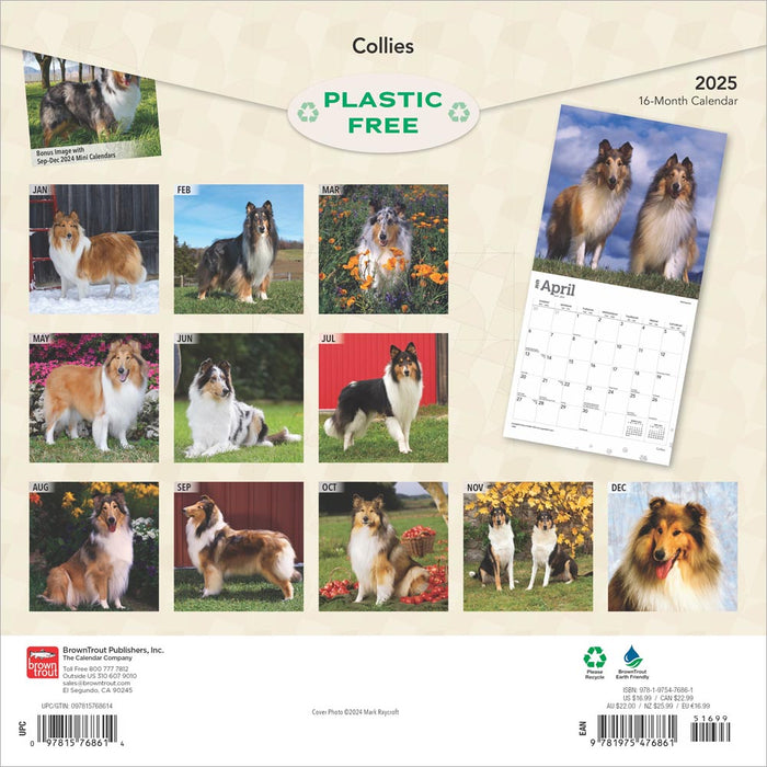 2025 Collies Wall Calendar by  BrownTrout Publishers Inc from Calendar Club
