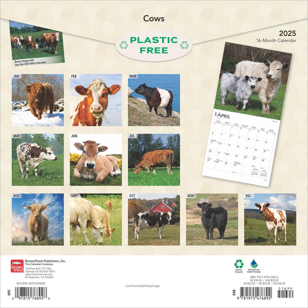 Calendar Club 2025 Cows Wall Calendar