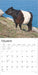 2025 Cows Wall Calendar by  BrownTrout Publishers Inc from Calendar Club