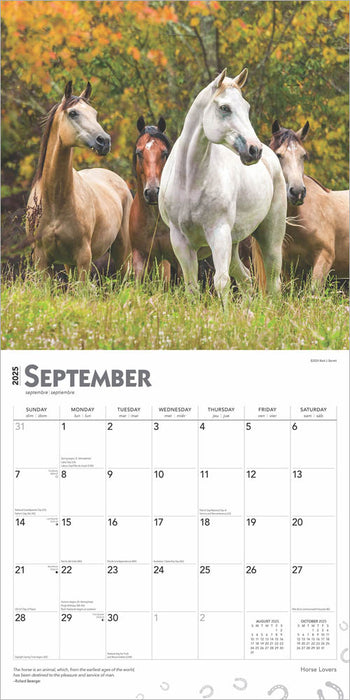 2025 Horse Lovers Wall Calendar by  BrownTrout Publishers Inc from Calendar Club
