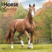 2025 Horse Lovers Wall Calendar by  BrownTrout Publishers Inc from Calendar Club