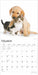 2025 Kittens & Puppies Wall Calendar by  BrownTrout Publishers Inc from Calendar Club