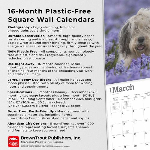2025 Old English Sheepdogs Wall Calendar by  BrownTrout Publishers Inc from Calendar Club
