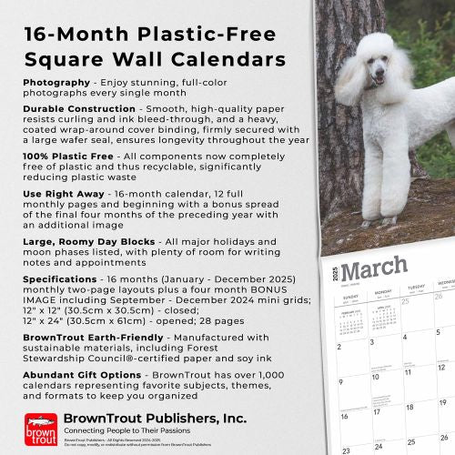 2025 Poodles Wall Calendar by  BrownTrout Publishers Inc from Calendar Club