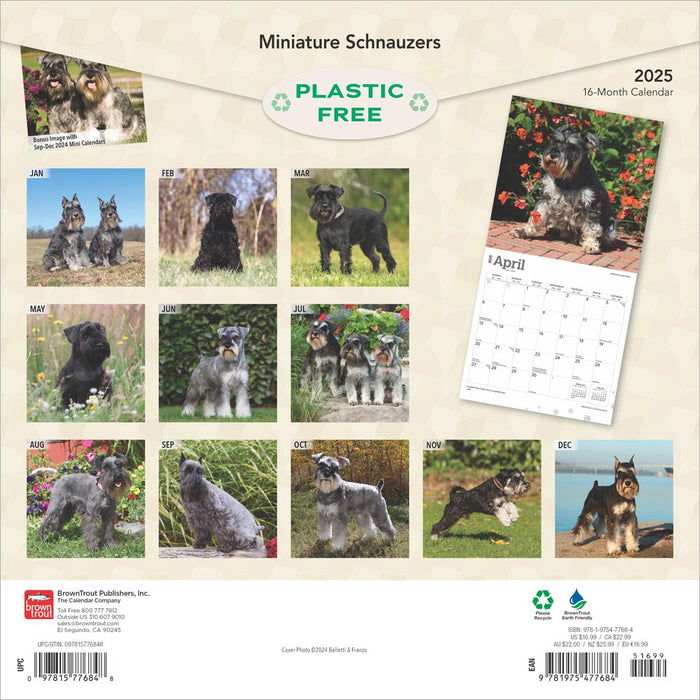 2025 Schnauzers Miniature Wall Calendar by  BrownTrout Publishers Inc from Calendar Club
