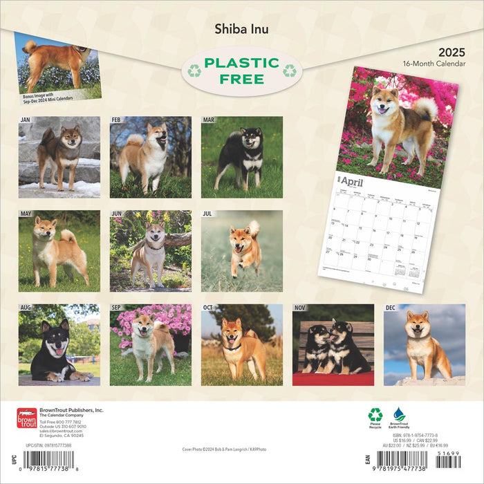 2025 Shiba Inu Wall Calendar by  BrownTrout Publishers Inc from Calendar Club