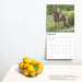 2025 Weimaraners Wall Calendar by  BrownTrout Publishers Inc from Calendar Club