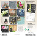 2025 Mindful Living: Brush Dance Mini Wall Calendar by  BrownTrout Publishers Inc from Calendar Club