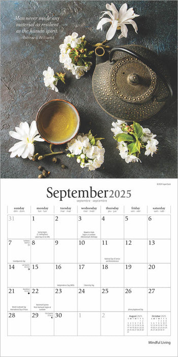 2025 Mindful Living: Brush Dance Mini Wall Calendar by  BrownTrout Publishers Inc from Calendar Club