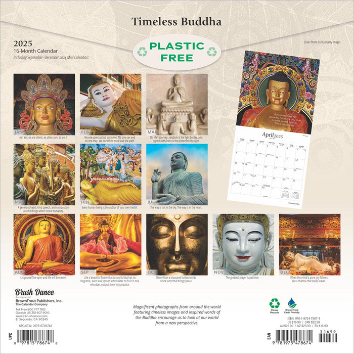 2025 Timeless Buddha: Brush Dance Wall Calendar by  BrownTrout Publishers Inc from Calendar Club
