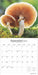 2025 Magic Mushrooms: Brush Dance Wall Calendar by  BrownTrout Publishers Inc from Calendar Club