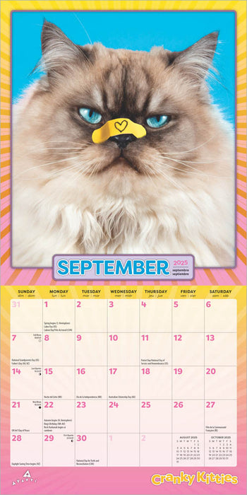 2025 Avanti Cranky Kitties Mini Wall Calendar
