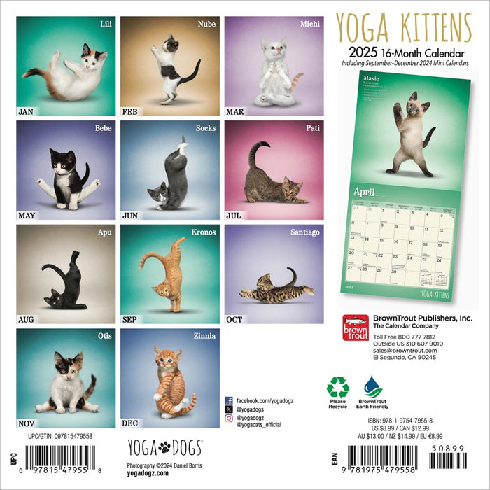 2025 Yoga Kittens Mini Wall Calendar by  BrownTrout Publishers Inc from Calendar Club