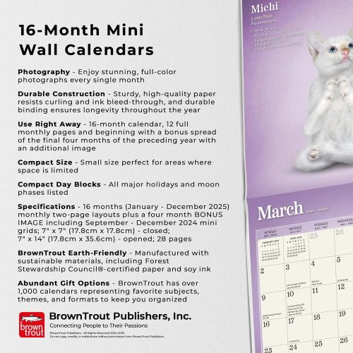 2025 Yoga Kittens Mini Wall Calendar by  BrownTrout Publishers Inc from Calendar Club
