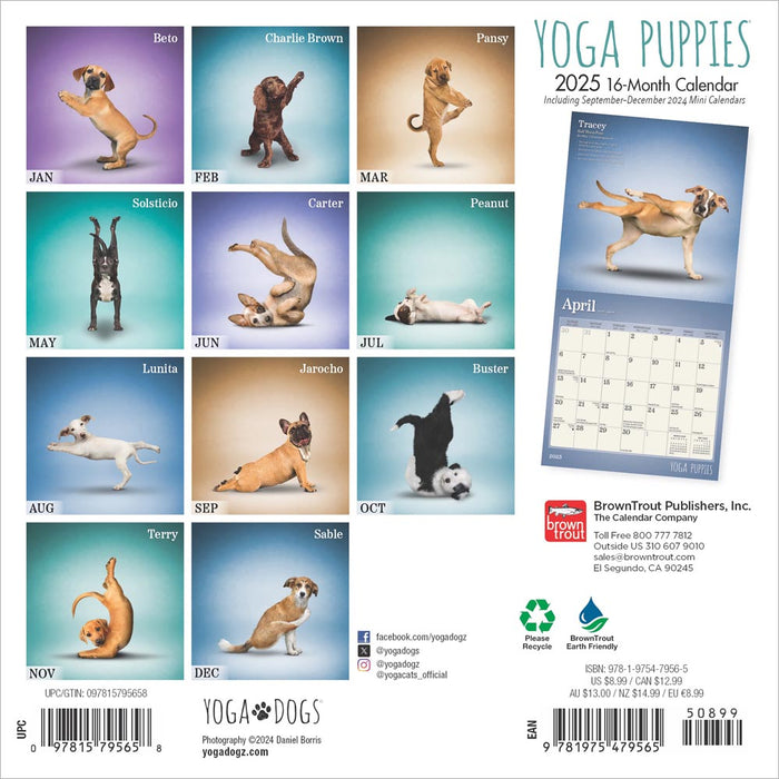 2025 Yoga Puppies Mini Wall Calendar by  BrownTrout Publishers Inc from Calendar Club