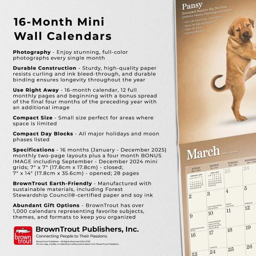 2025 Yoga Puppies Mini Wall Calendar by  BrownTrout Publishers Inc from Calendar Club