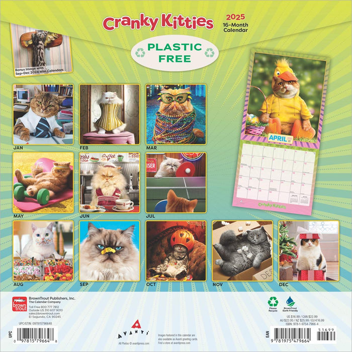 2025 Avanti Cranky Kitties Wall Calendar by  BrownTrout Publishers Inc from Calendar Club