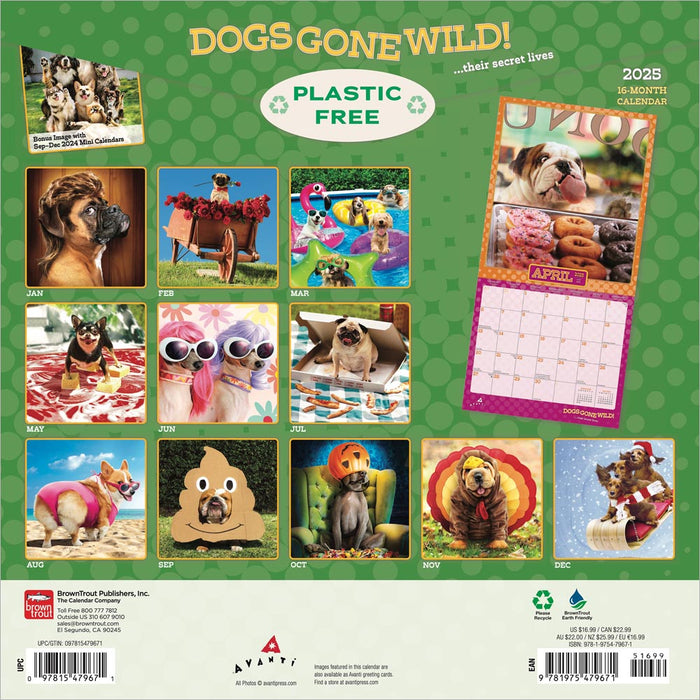 2025 Avanti Dogs Gone Wild Wall Calendar by  BrownTrout Publishers Inc from Calendar Club