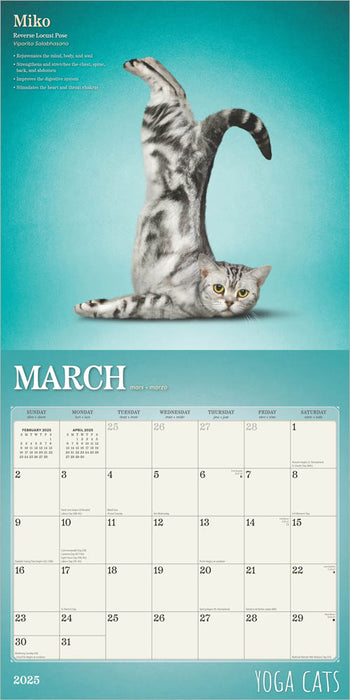 2025 Yoga Cats Wall Calendar by  BrownTrout Publishers Inc from Calendar Club