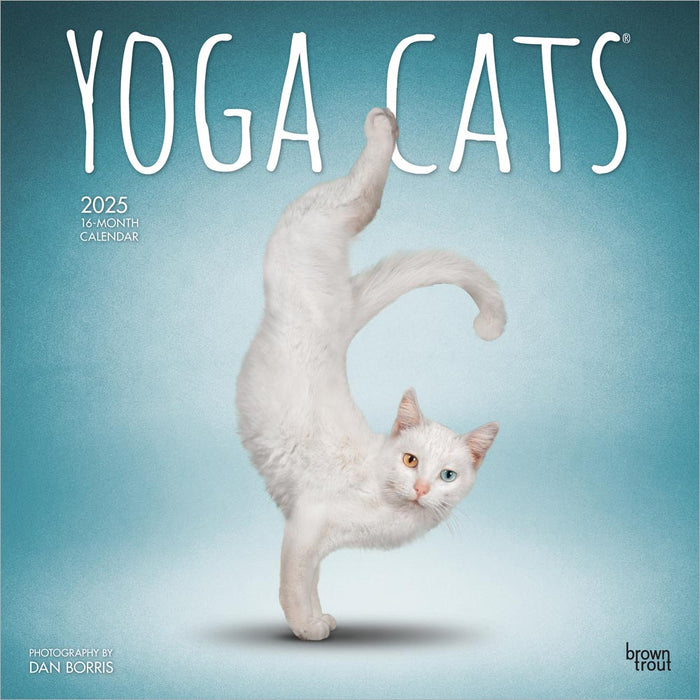 2025 Yoga Cats Wall Calendar by  BrownTrout Publishers Inc from Calendar Club
